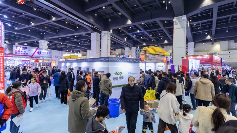 logo设计软件选型攻略：揭秘专业设计利器